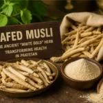 Safed Musli Benefits: The Ancient “White Gold” Herb That’s Transforming Health in Pakistan